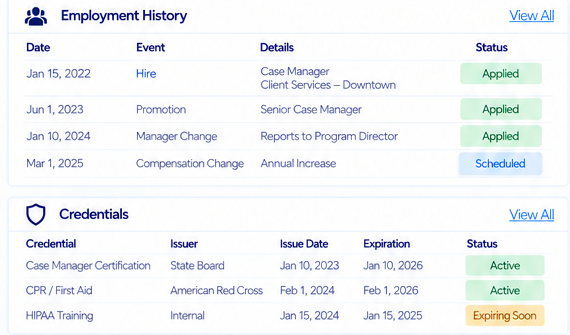 Synthetic employment history and credentials placeholder